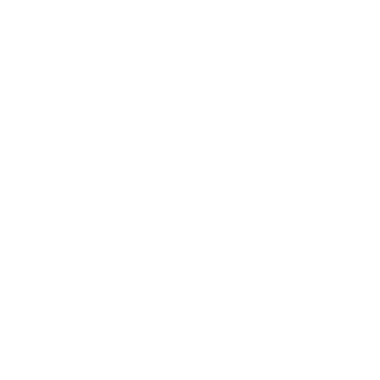 IT, Technology & Cybersecurity Audit